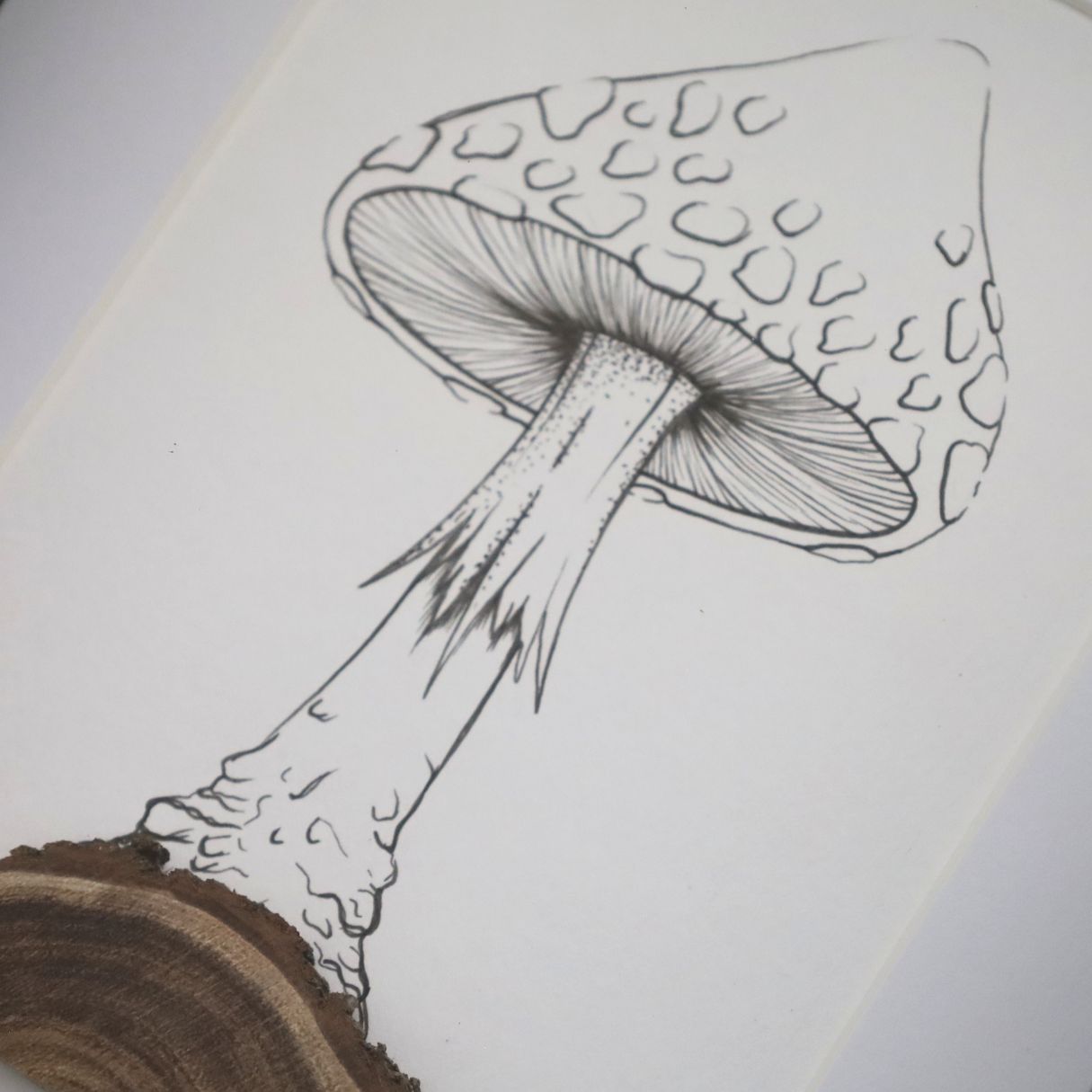 Mushroom Log "Fantastic Fungi" (A5 Black Shadow Box Frame, Vertical) Fly Agaric