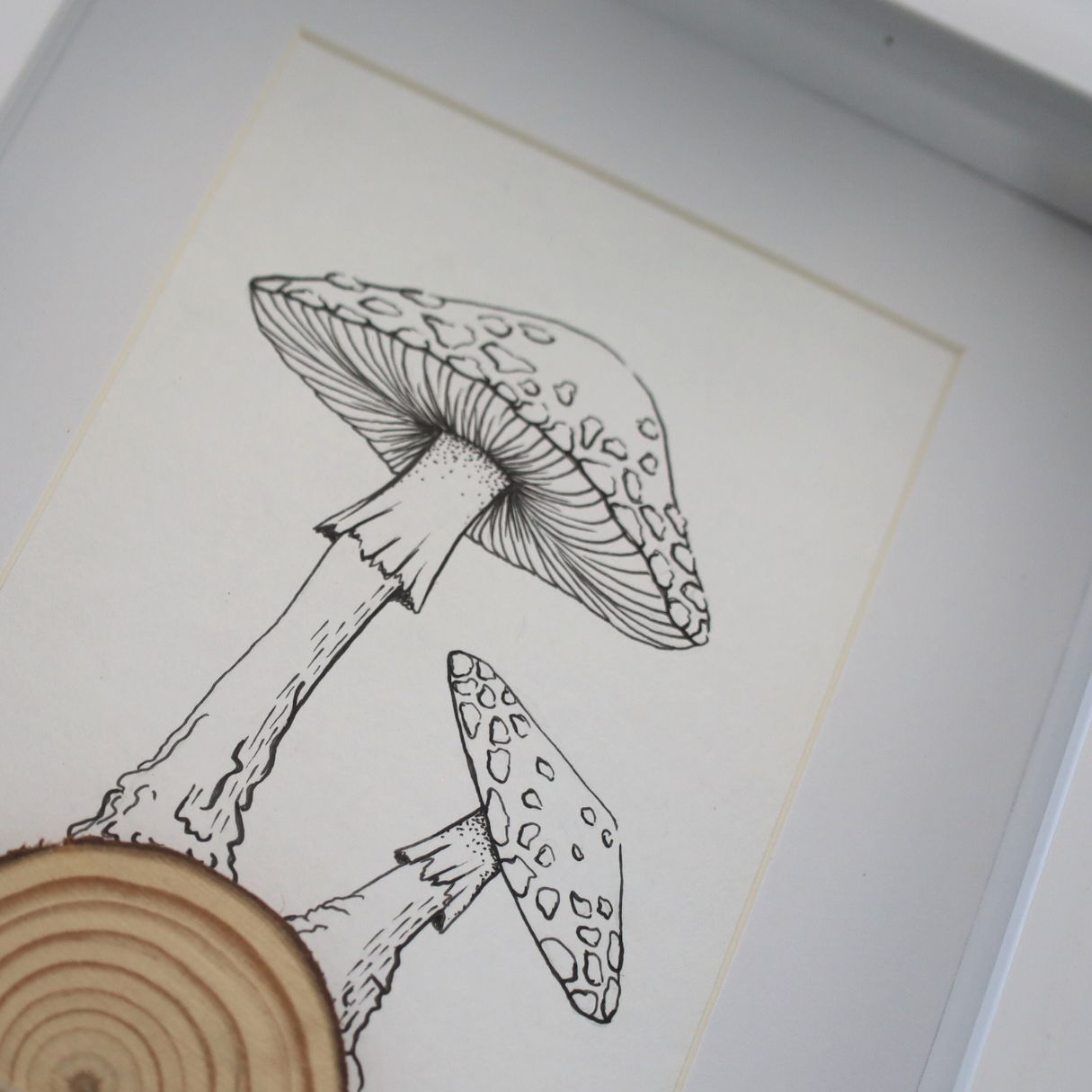 Mushroom Log "Fantastic Fungi" (A5 White Shadow Box Frame, Vertical) Fly Agaric