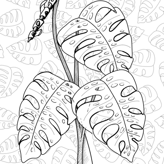 Colour In Gift Card “Colour Me Curious" (Monstera Patterned Background)
