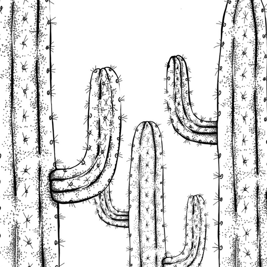 Colour In Gift Card “Colour Me Curious" (Cacti)