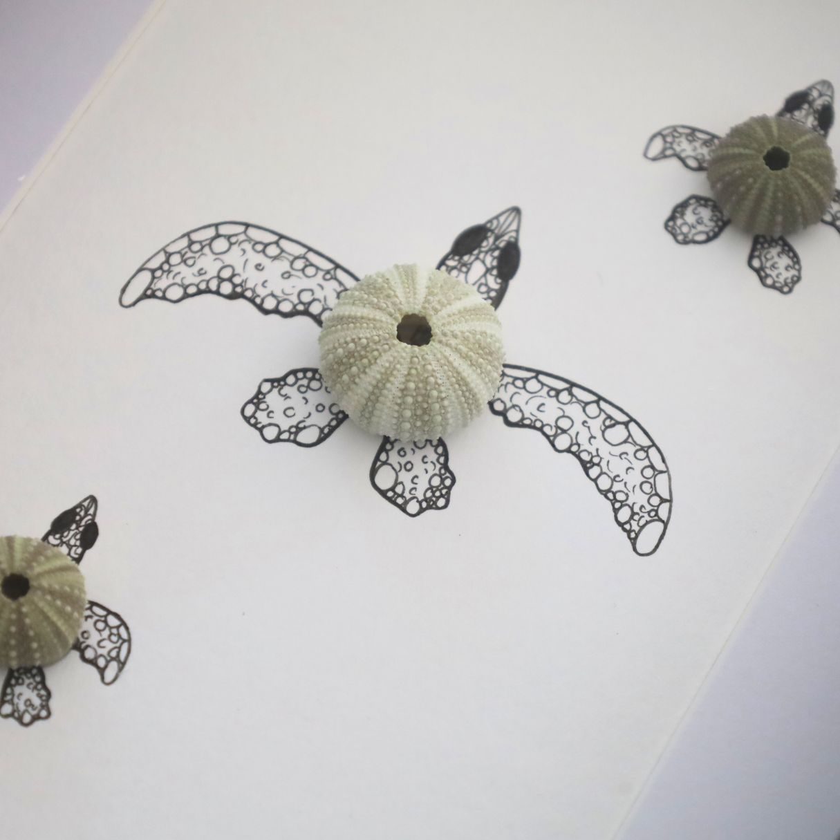 Turtles Sea Urchin Family "Just Keep Swimming" (A5 Black Shadow Box Frame, Vertical)