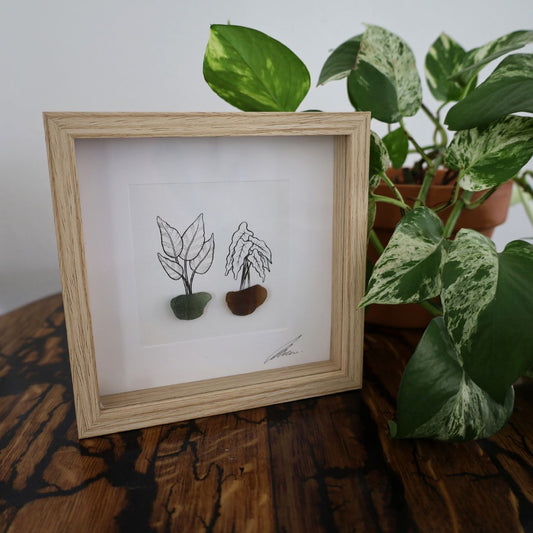 Plants, Sea Glass Pots "There’s No Such Thing As Too Many Plants" (17x17cm Tan Shadow Box Frame, Square) Green & Brown