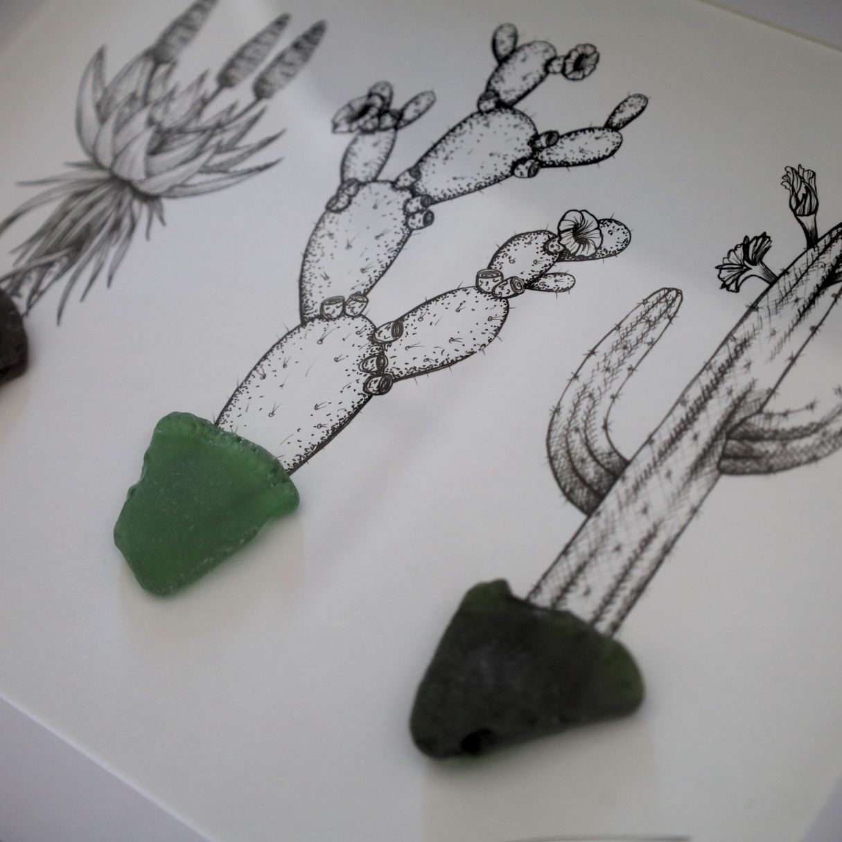 Succulents & Sea Glass Pots "Succ It Up Buttercup" (A4 Black Shadow Box Frame, Horizontal)