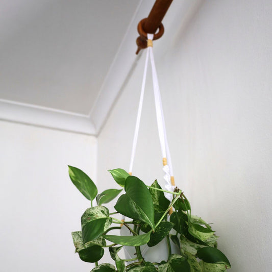 Macramé Plant Hanger "Hang In There" (Hand Knotted) White & Yellow