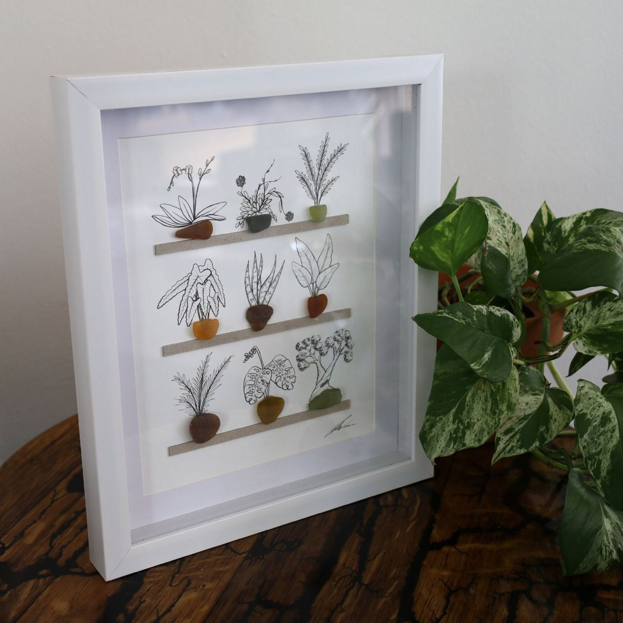 Plants, Sea Glass Pots & Shelves "There’s No Such Thing As Too Many Plants" (A4 White Shadow Box Frame)