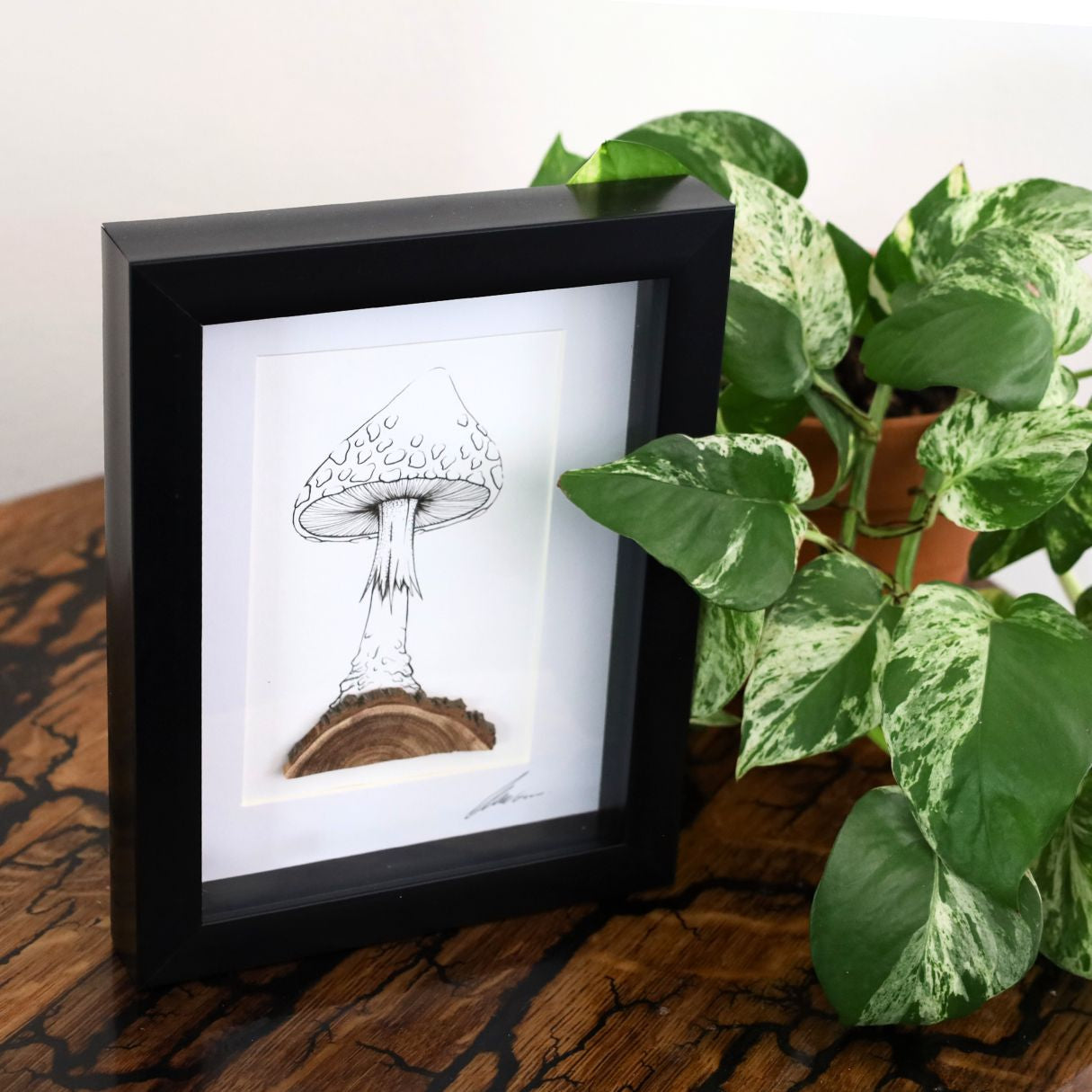 Mushroom Log "Fantastic Fungi" (A5 Black Shadow Box Frame, Vertical) Fly Agaric