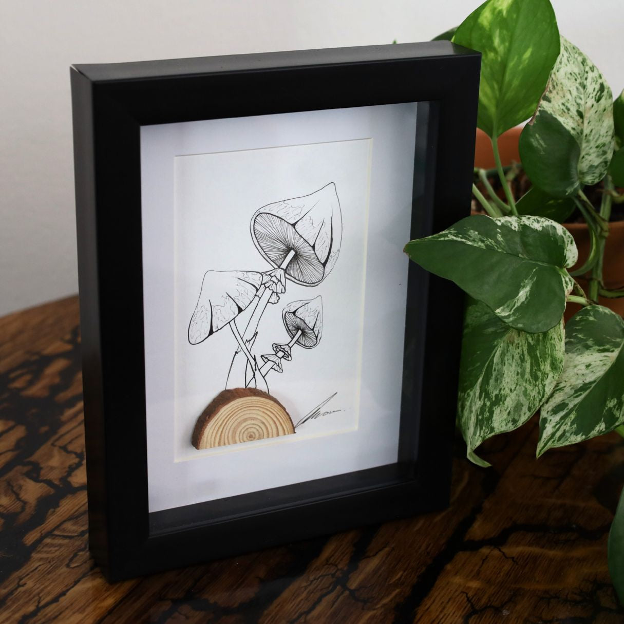 Mushroom Log "Fantastic Fungi" (A5 Black Shadow Box Frame, Vertical) Cluster
