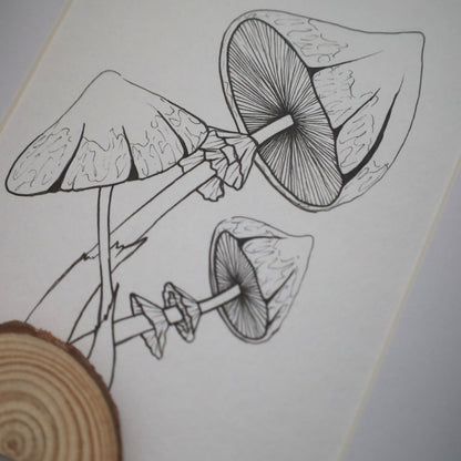 Mushroom Log "Fantastic Fungi" (A5 Black Shadow Box Frame, Vertical) Cluster