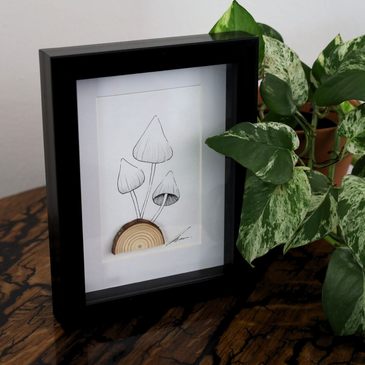 Mushroom Log "Fantastic Fungi" (A5 Black Shadow Box Frame, Vertical) Magic