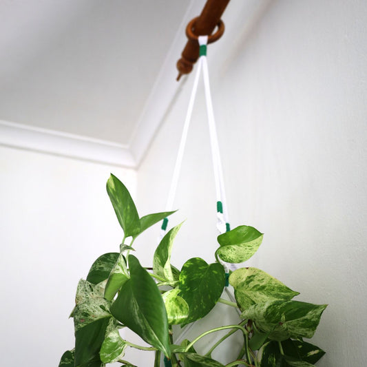 Macramé Plant Hanger "Hang In There" (Hand Knotted) White & Dark Green