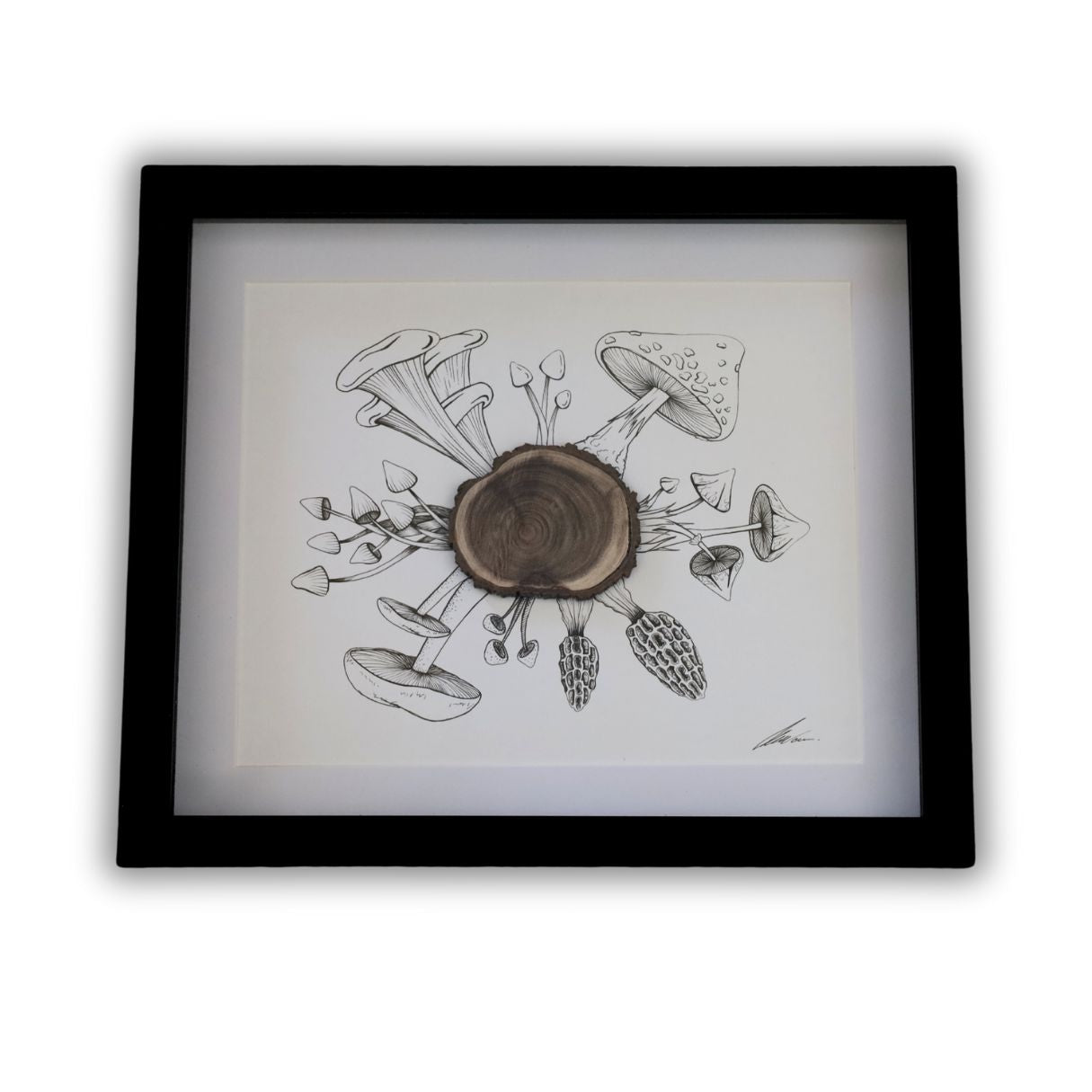 Mushroom & Bark Burst "Fantastic Fungi" (A4 Black Shadow Box Frame)