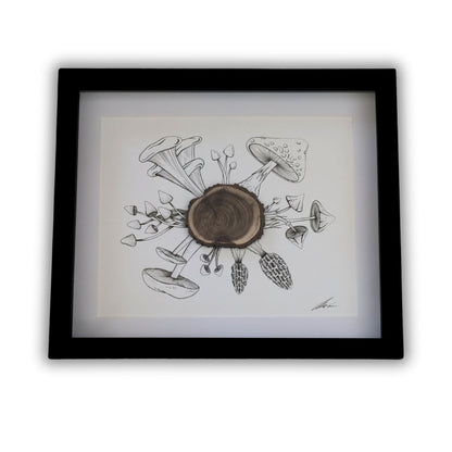 Mushroom & Bark Burst "Fantastic Fungi" (A4 Black Shadow Box Frame)