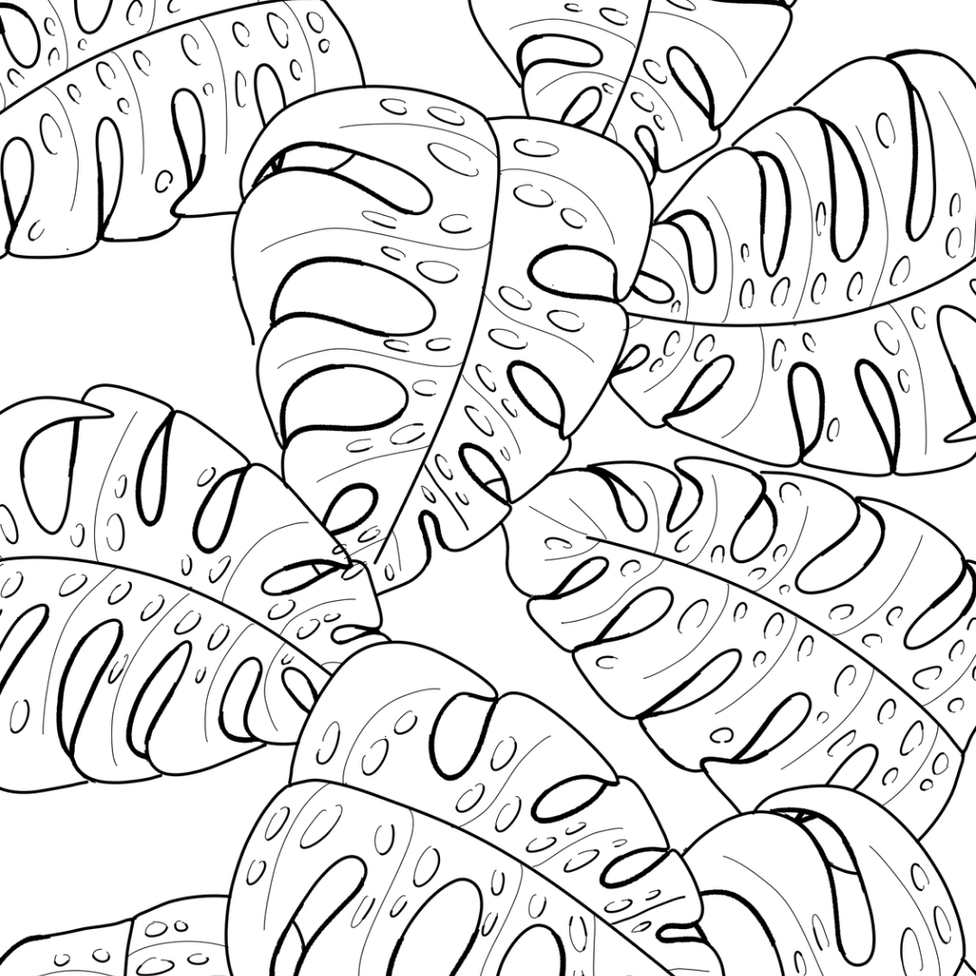 Colour In Gift Card “Colour Me Curious" (Monstera Large Pattern)