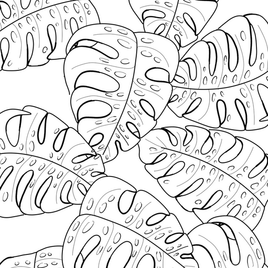 Colour In Gift Card “Colour Me Curious" (Monstera Large Pattern)