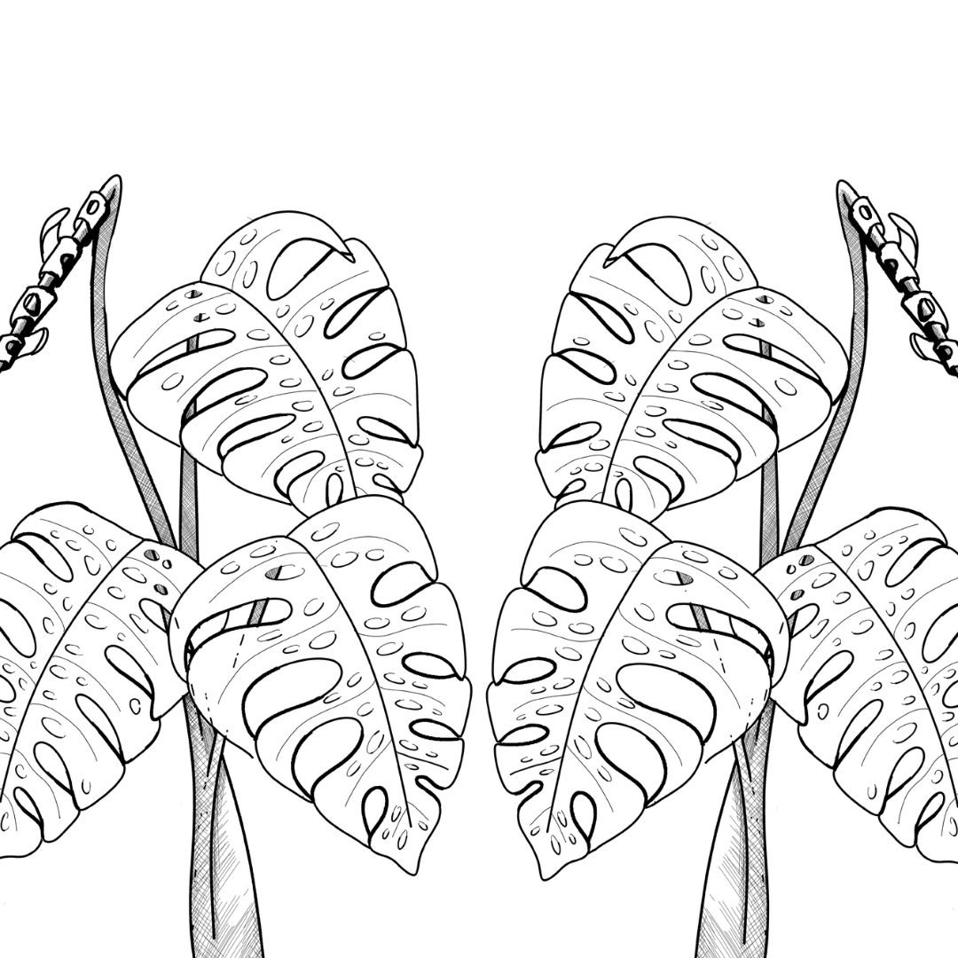 Colour In Gift Card “Colour Me Curious" (Monstera Mirrored)