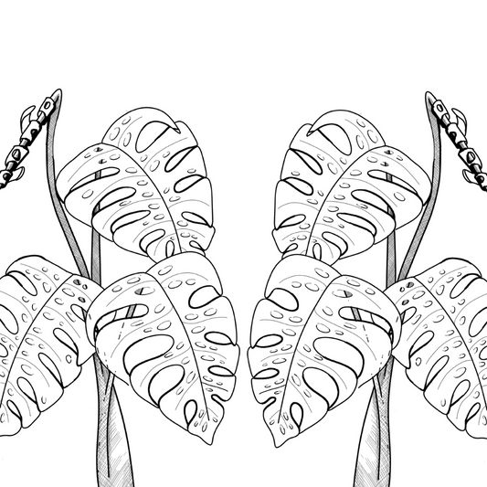 Colour In Gift Card “Colour Me Curious" (Monstera Mirrored)