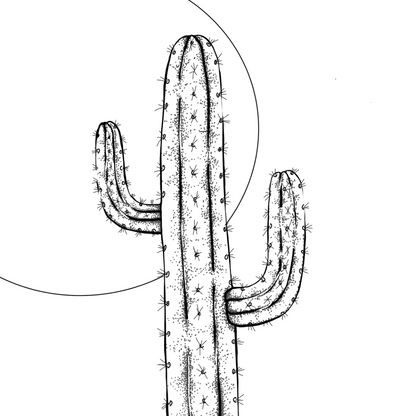 Colour In Gift Card “Colour Me Curious" (Cactus Sunset)