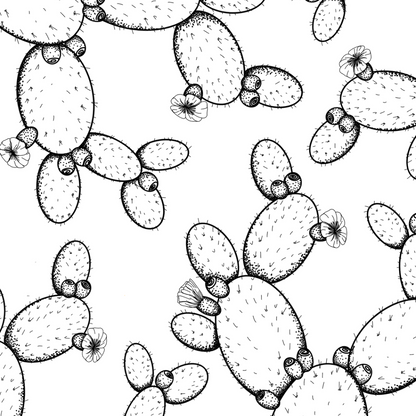 Colour In Gift Card “Colour Me Curious" (Prickly Pear Large Pattern)