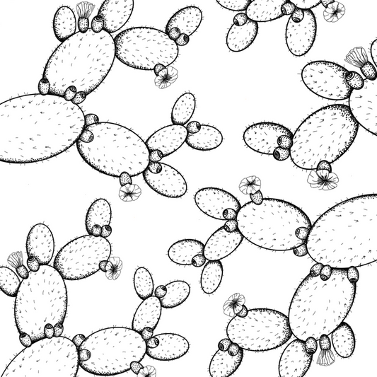 Colour In Gift Card “Colour Me Curious" (Prickly Pear Small Pattern)