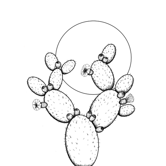 Colour In Gift Card “Colour Me Curious" (Prickly Pear Sunset)