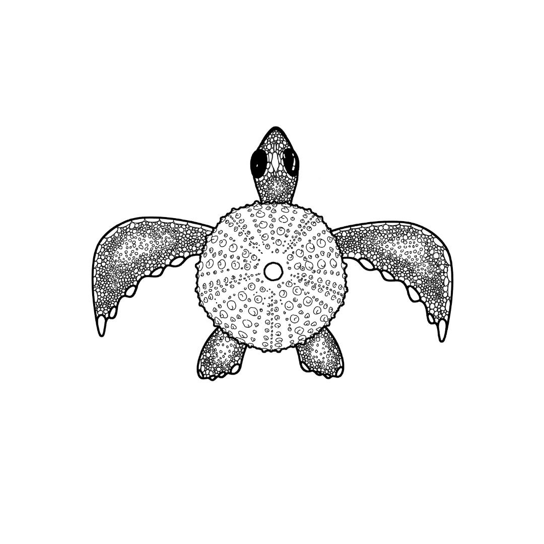 Colour In Gift Card “Colour Me Curious" (Solo Turtle)