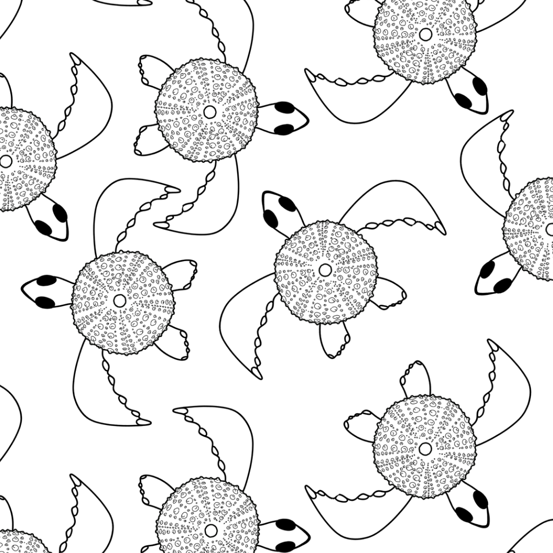 Colour In Gift Card “Colour Me Curious" (Turtle Large Pattern)