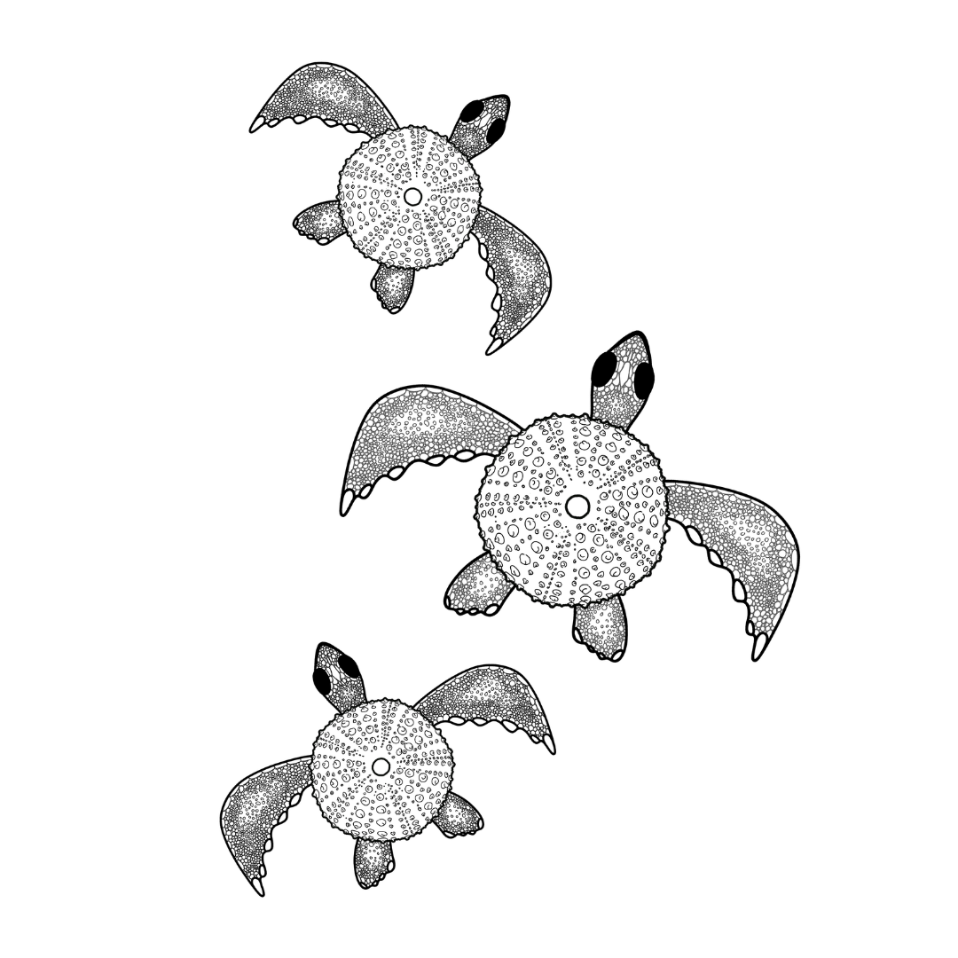 Colour In Gift Card “Colour Me Curious" (Turtle Family)