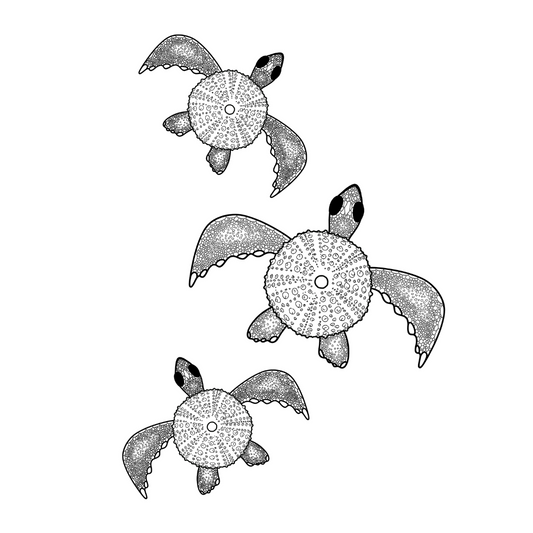 Colour In Gift Card “Colour Me Curious" (Turtle Family)