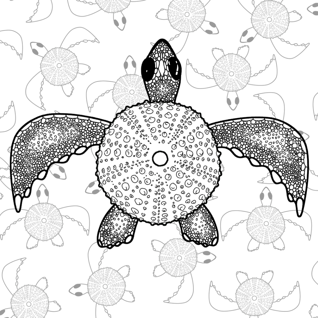 Colour In Gift Card “Colour Me Curious" (Turtle Patterned Background)