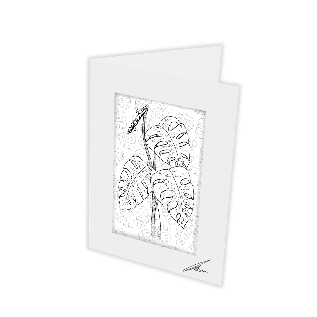 Colour In Gift Card “Colour Me Curious" (Monstera Patterned Background)