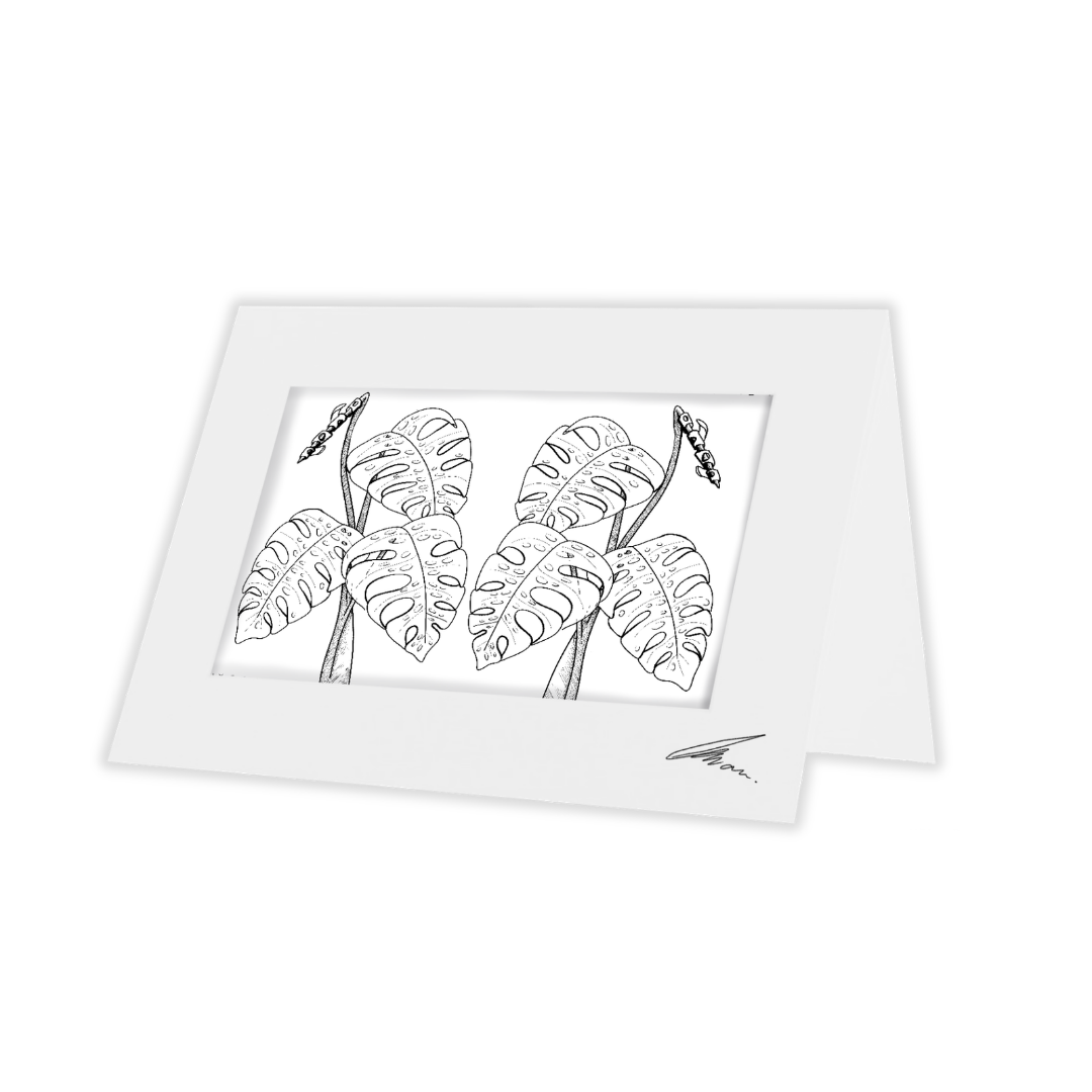 Colour In Gift Card “Colour Me Curious" (Monstera Mirrored)
