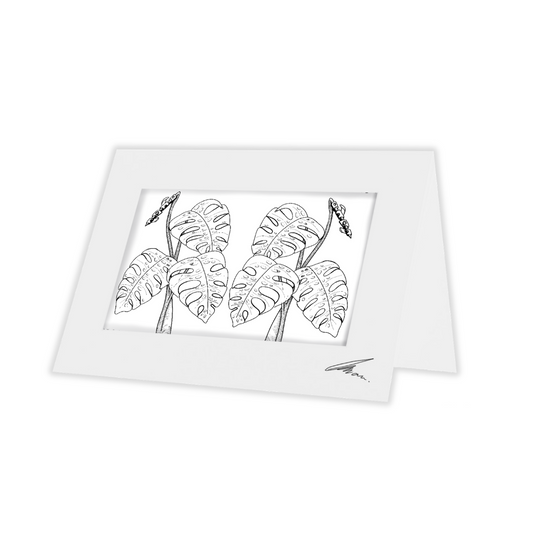 Colour In Gift Card “Colour Me Curious" (Monstera Mirrored)