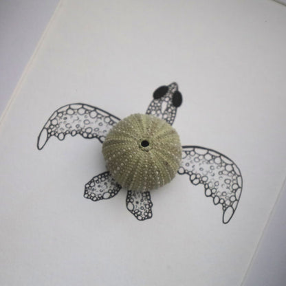 Turtle Sea Urchin Solo "Just Keep Swimming" (A5 Black Shadow Box Frame, Vertical)