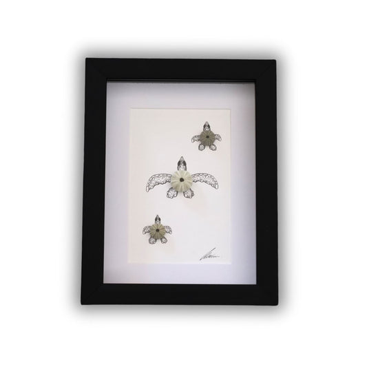 Turtles Sea Urchin Family "Just Keep Swimming" (A5 Black Shadow Box Frame, Vertical)