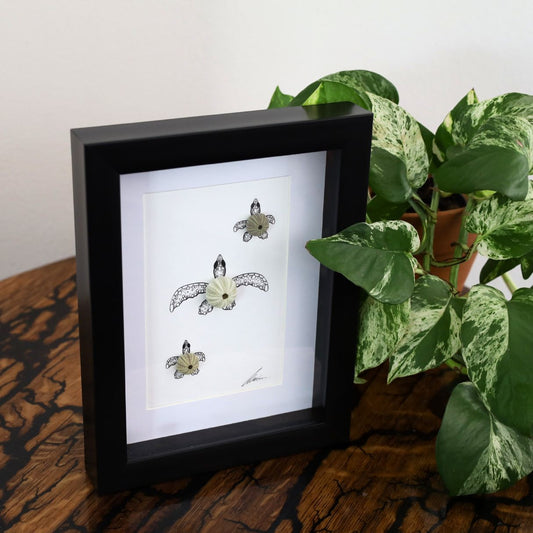 Turtles Sea Urchin Family "Just Keep Swimming" (A5 Black Shadow Box Frame, Vertical)