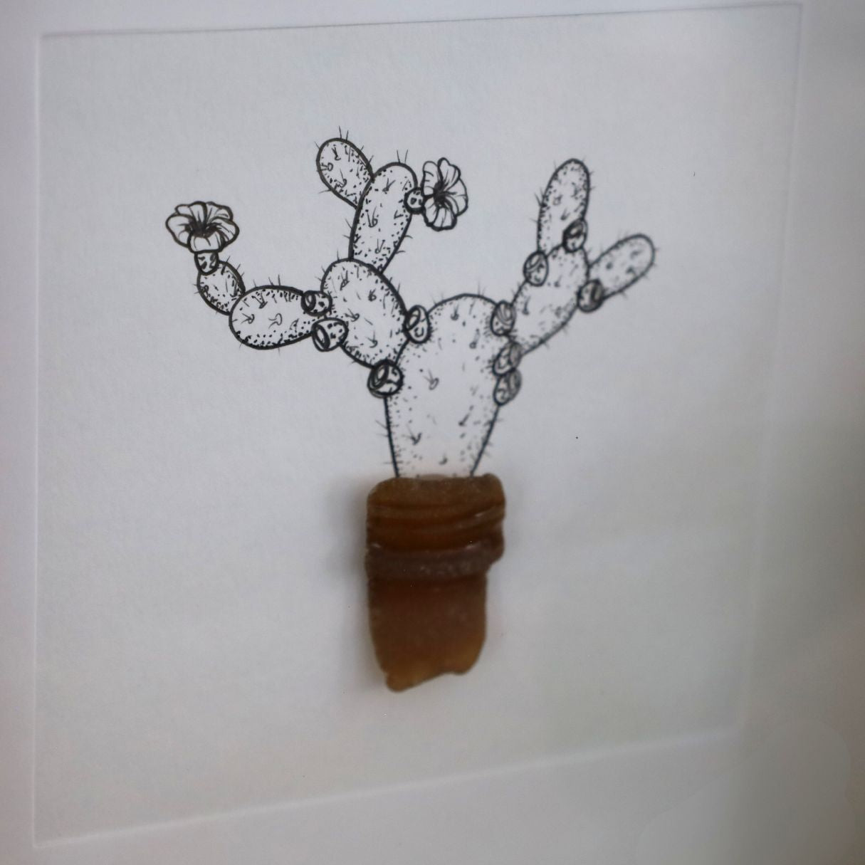 Blooming Prickly Pear Sea Glass Pot "Dont Be A Prick" (17x17cm Tan Shadow Box Frame, Square) Lrg Bottle Neck
