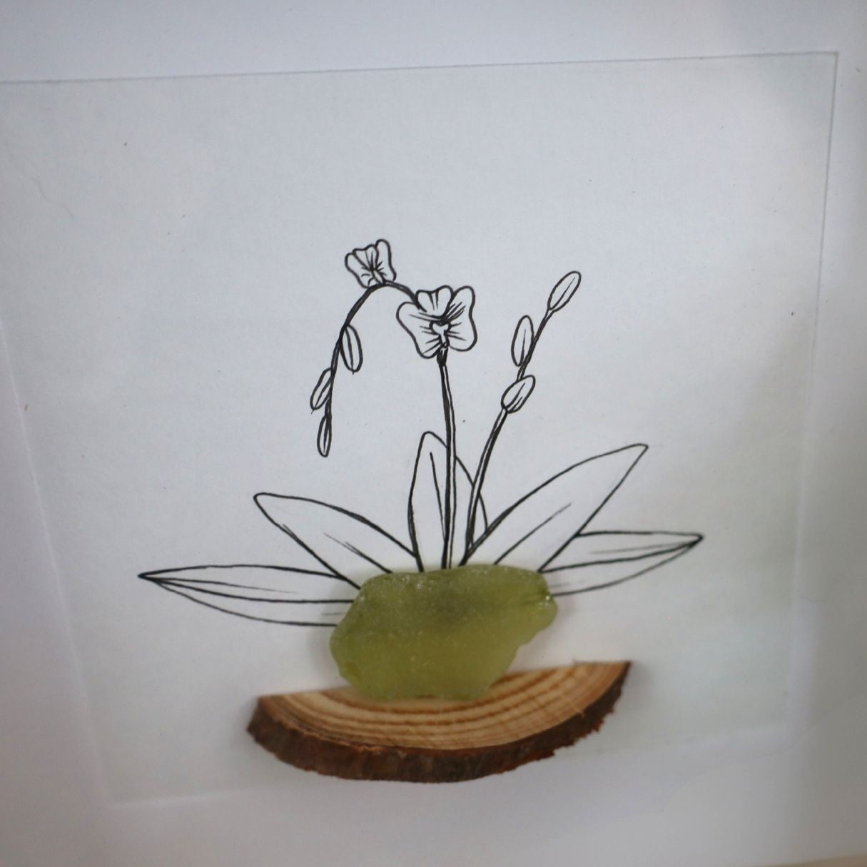 Orchid, Sea Glass Pot & Bark Shelf "There’s No Such Thing As Too Many Plants" (17x17cm Tan Shadow Box Frame, Square) Lime Green