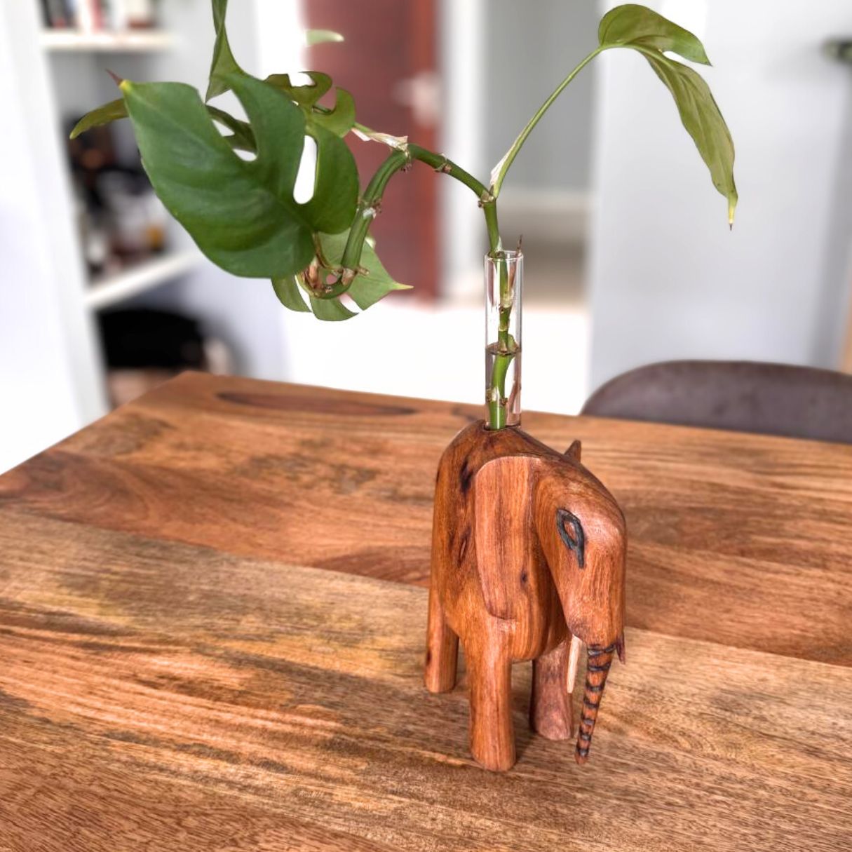Propagation Station “I'm Rooting For You” (Elephant) Custom