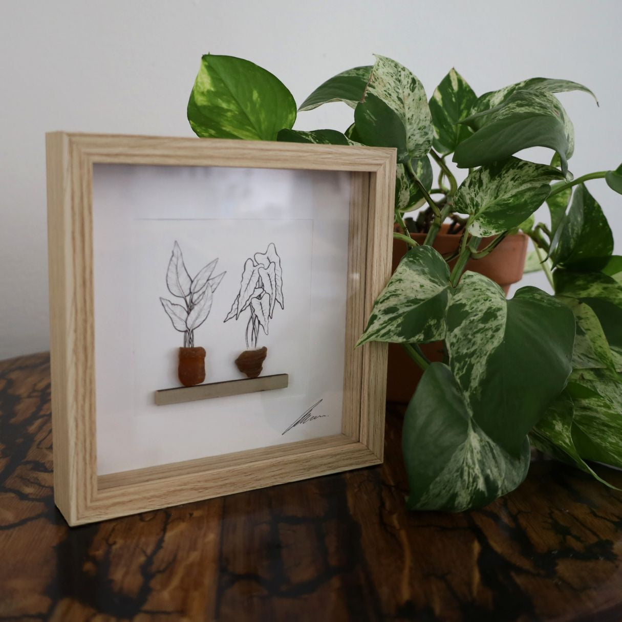 Plants, Sea Glass Pots & Shelf "There’s No Such Thing As Too Many Plants" (17x17cm Tan Shadow Box Frame, Square) Brown