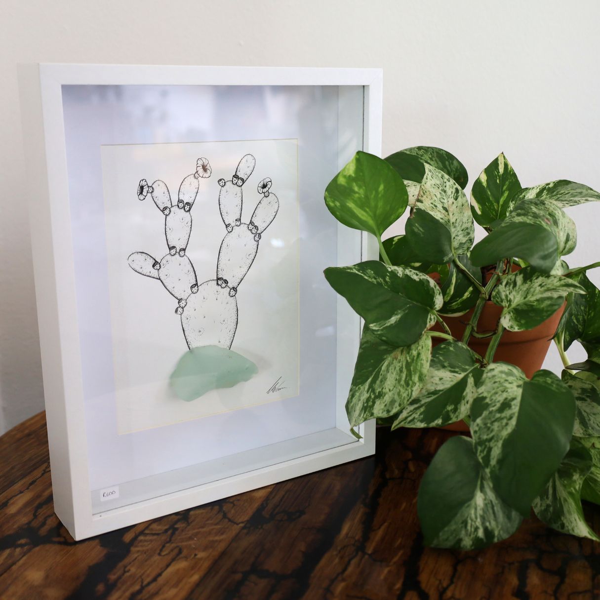 Blooming Prickly Pear & Sea Glass pot "Dont Be A Prick" (Chunky A4 White Shadow Box Frame)