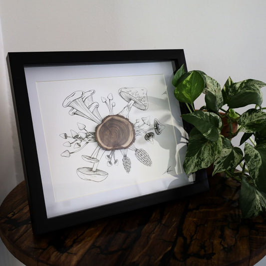 Mushroom & Bark Burst "Fantastic Fungi" (A4 Black Shadow Box Frame)