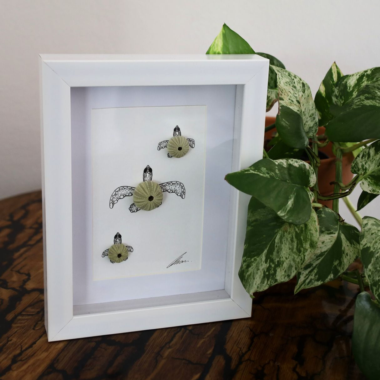 Turtles Sea Urchin Family "Just Keep Swimming" (A5 White Shadow Box Frame, Vertical)