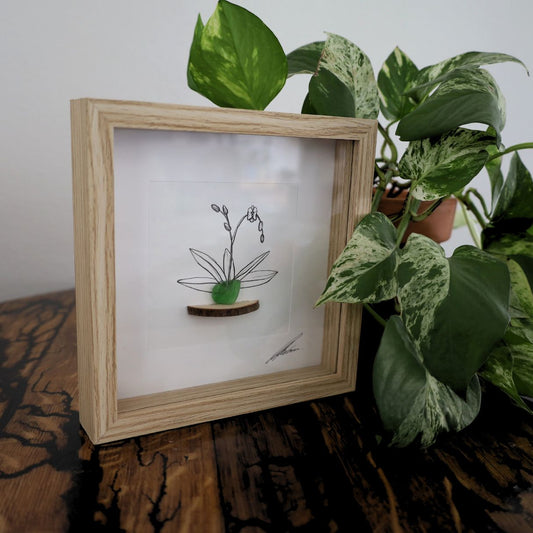 Orchid Sea Glass Pot & Bark Shelf "There’s No Such Thing As Too Many Plants" (17x17cm Tan Shadow Box Frame, Square) Dark Green