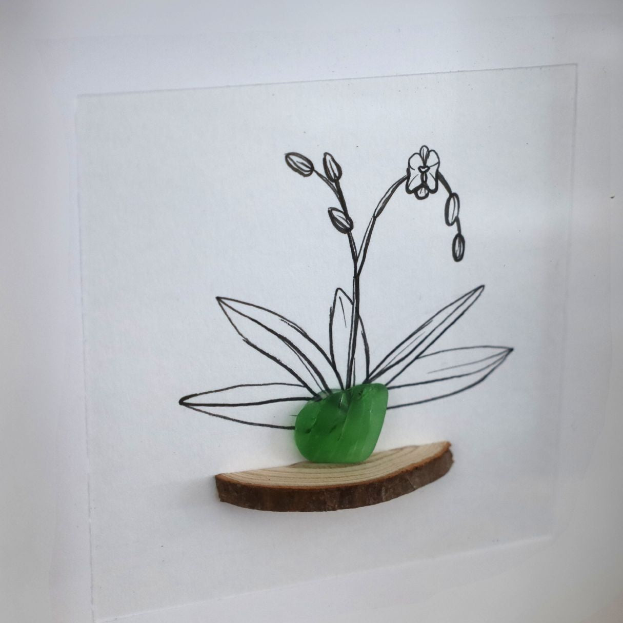 Orchid Sea Glass Pot & Bark Shelf "There’s No Such Thing As Too Many Plants" (17x17cm Tan Shadow Box Frame, Square) Dark Green