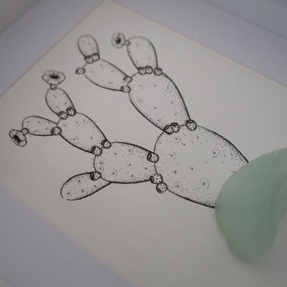 Blooming Prickly Pear & Sea Glass pot "Dont Be A Prick" (Chunky A4 White Shadow Box Frame)