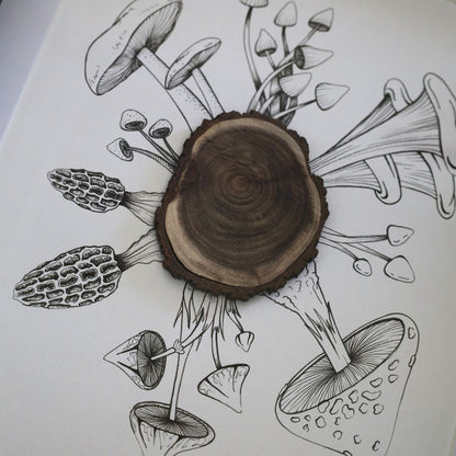 Mushroom & Bark Burst "Fantastic Fungi" (A4 Black Shadow Box Frame)