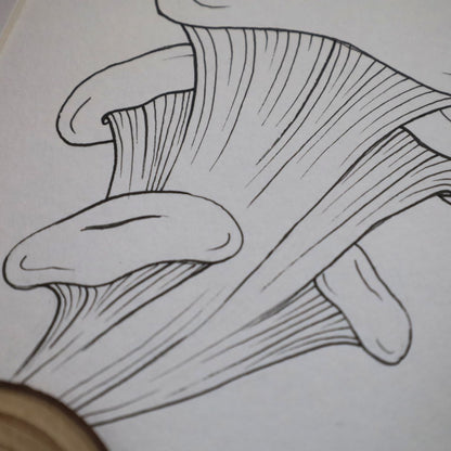 Mushroom Log "Fantastic Fungi" (A5 Black Shadow Box Frame, Vertical) Oyster