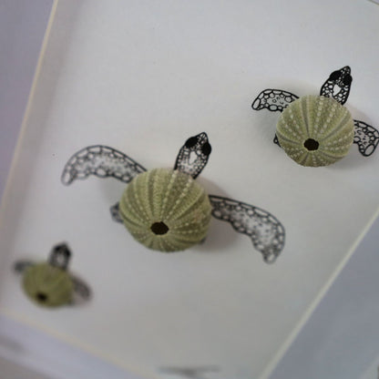 Turtles Sea Urchin Family "Just Keep Swimming" (A5 White Shadow Box Frame, Vertical)