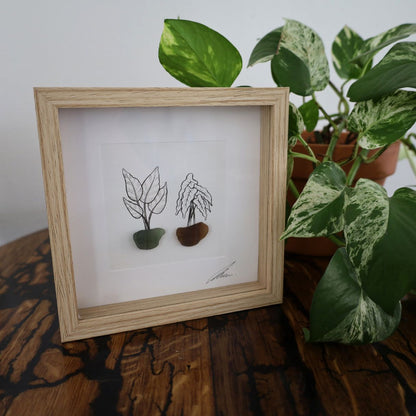 Plants, Sea Glass Pots "There’s No Such Thing As Too Many Plants" (17x17cm Tan Shadow Box Frame, Square) Green & Brown