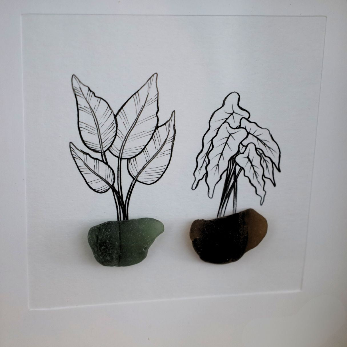 Plants, Sea Glass Pots "There’s No Such Thing As Too Many Plants" (17x17cm Tan Shadow Box Frame, Square) Green & Brown
